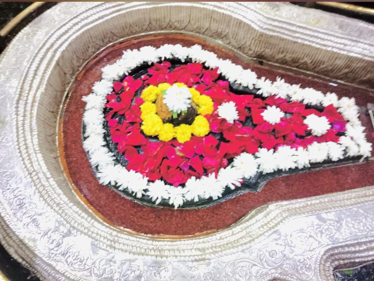 श्री भीमाशंकर ज्योतिर्लिंग जी के आज के मंगला आरती श्रृंगार दिव्य दर्शन 05.11.2023