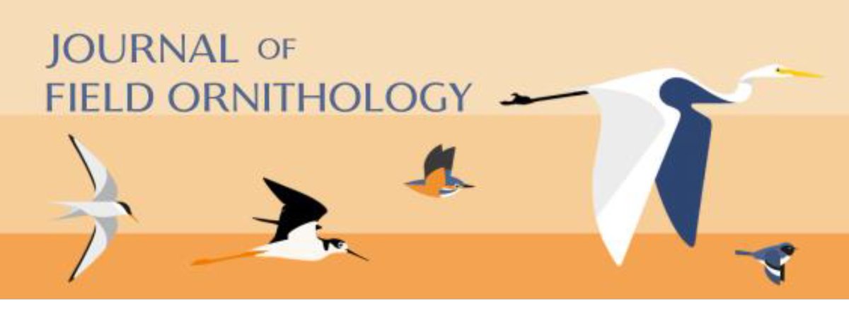 POSITION OPEN: Co-Editor-in-Chief of the Journal of Field Ornithology. Further details can be found here: eounion.org/latest-news/re… Applications can be submitted on the AFO website here: afonet.org/co-eic-applica… Please RT! #ornithology