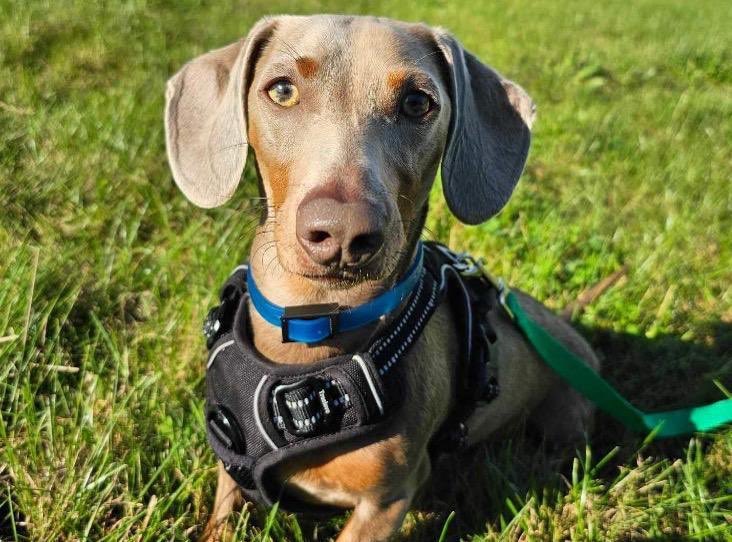 Cynthia | UK UGC Creator tweet media