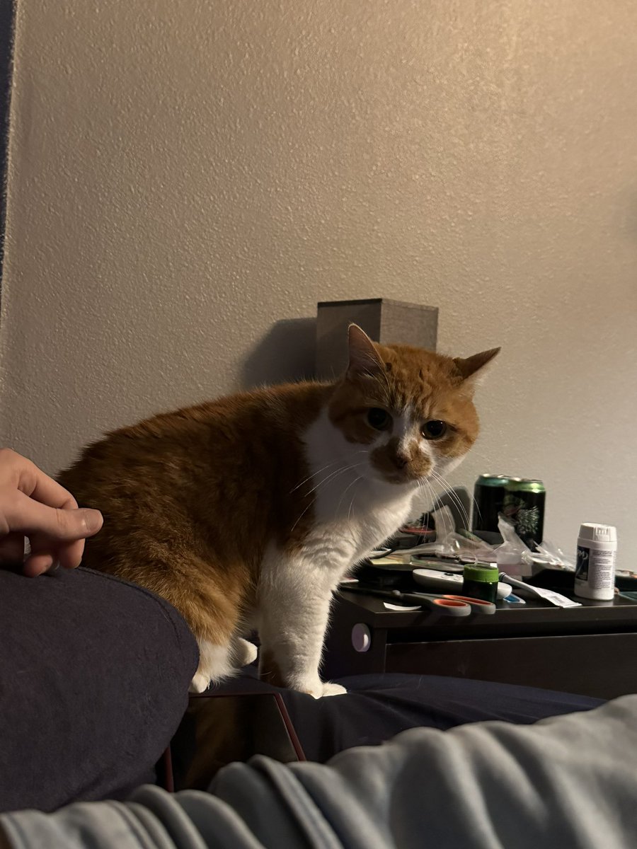 cupdates69's tweet image. 