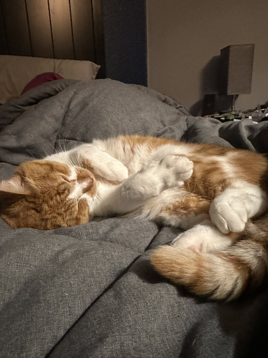 cupdates69's tweet image. 