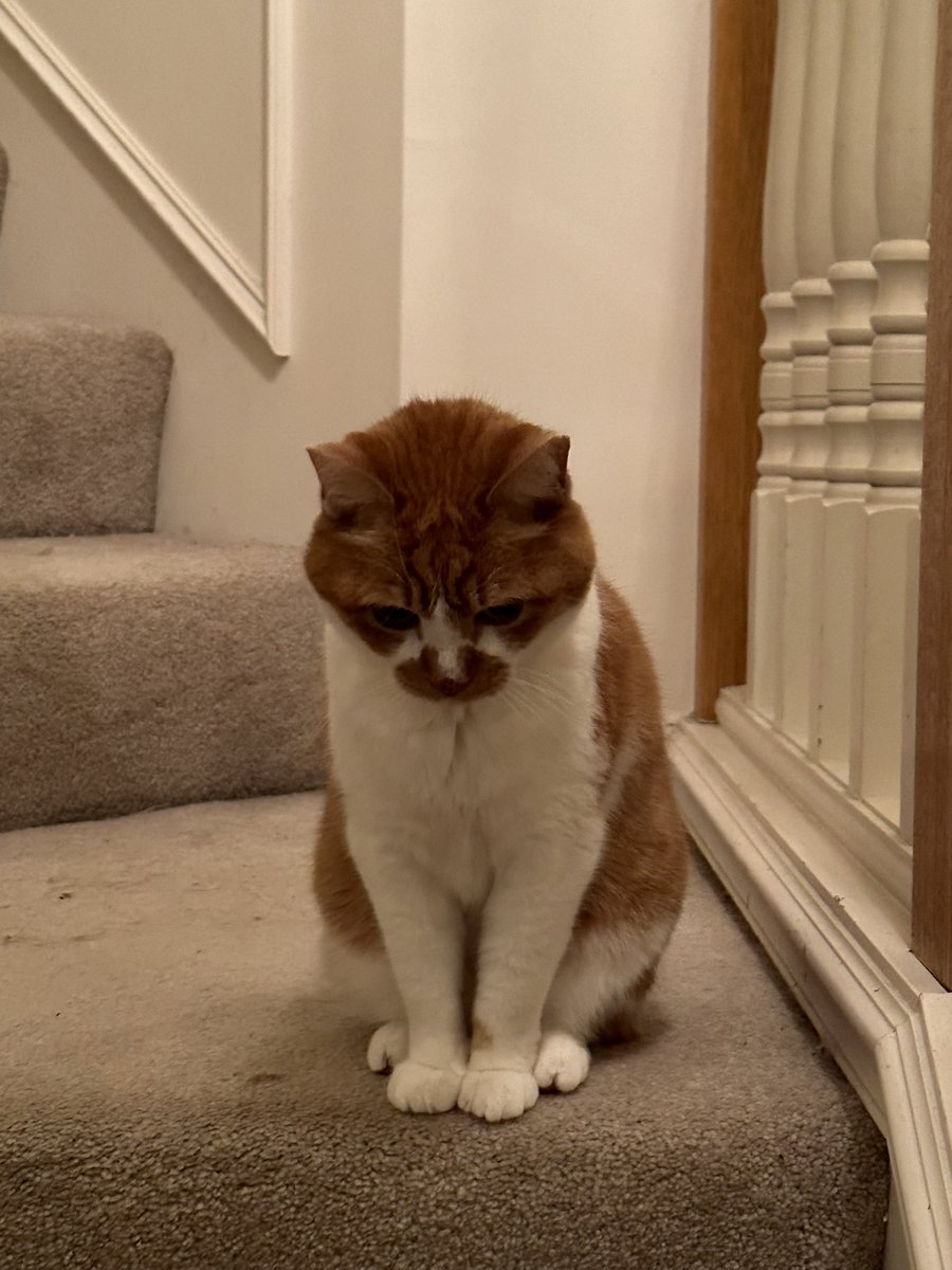 cupdates69's tweet image. 