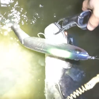 A*n様 ギラギラコウゲキ コウペンちゃん 仏様なスマホに貼れるサイズのキラキラ箔押し