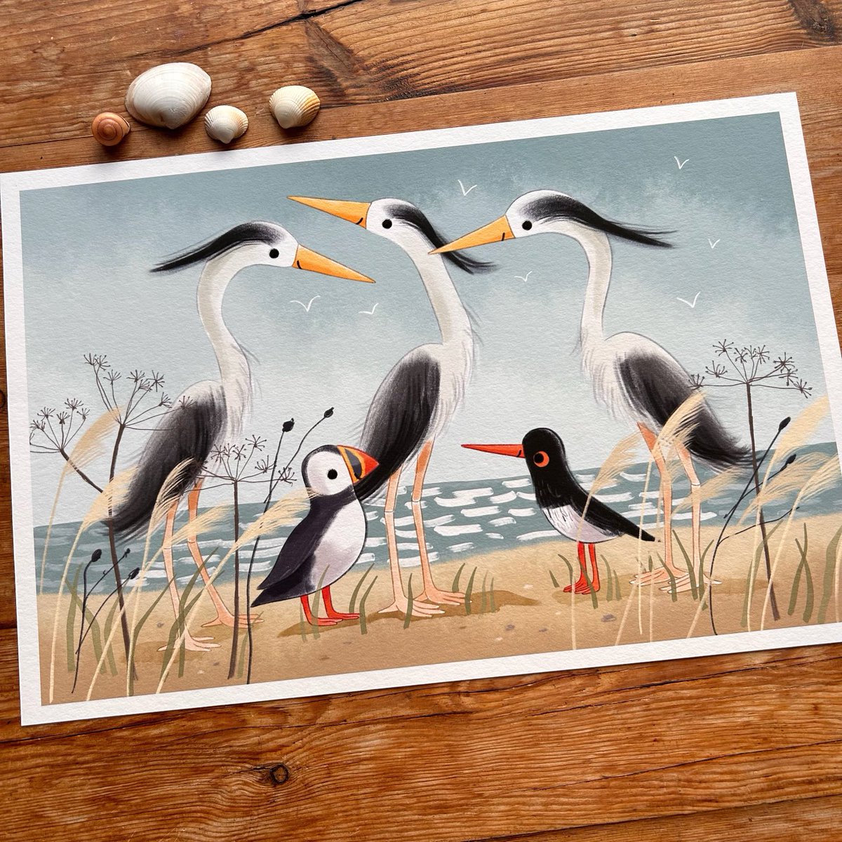 Local seabirds 💙🌊 #northumberland #illustration