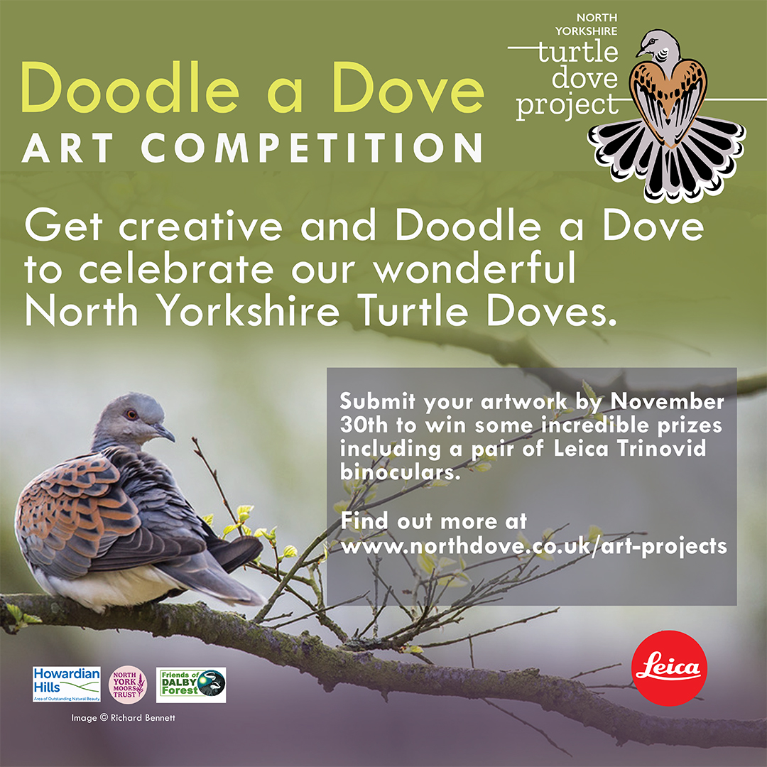North Yorkshire Turtle Dove Project (@north_dove) on Twitter photo Three weeks to go to win a pair of Leica Binoculars! <a href="/LeicaBirding/">Leica Nature & Birding</a> No artistic skills needed. DOODLE a DOVE in support of the North Yorkshire Turtle Dove Project <a href="/NorthYorkMoors/">North York Moors NP</a> Entry details here: northdove.co.uk/art-projects/ Three weeks to go to win a pair of Leica Binoculars! <a href="/LeicaBirding/">Leica Nature & Birding</a> No artistic skills needed. DOODLE a DOVE in support of the North Yorkshire Turtle Dove Project <a href="/NorthYorkMoors/">North York Moors NP</a> Entry details here: northdove.co.uk/art-projects/