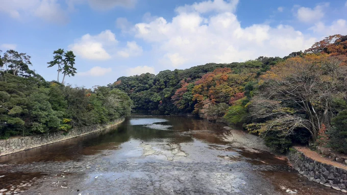 3日目には体調もほぼ元に戻りました。遊ぼう～ 