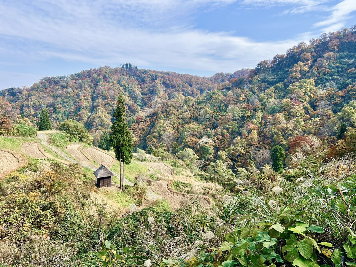 pinkgolem's tweet photo. 時水城山登ってクッキングでチタンの🍳焦がして、
山本山散歩して、
汗を流しにナステビュウ行ったけど激混みだったのでR405で津南に抜けて長野に入って野沢温泉の500円♨️入ってきました。
R405、道が狭くて怖いが🍁がとても綺麗でした。
後は選択して寝るだけ
#時水城山
#山本山
#野沢温泉
#R404 https://t.co/cmf9yj5lbU