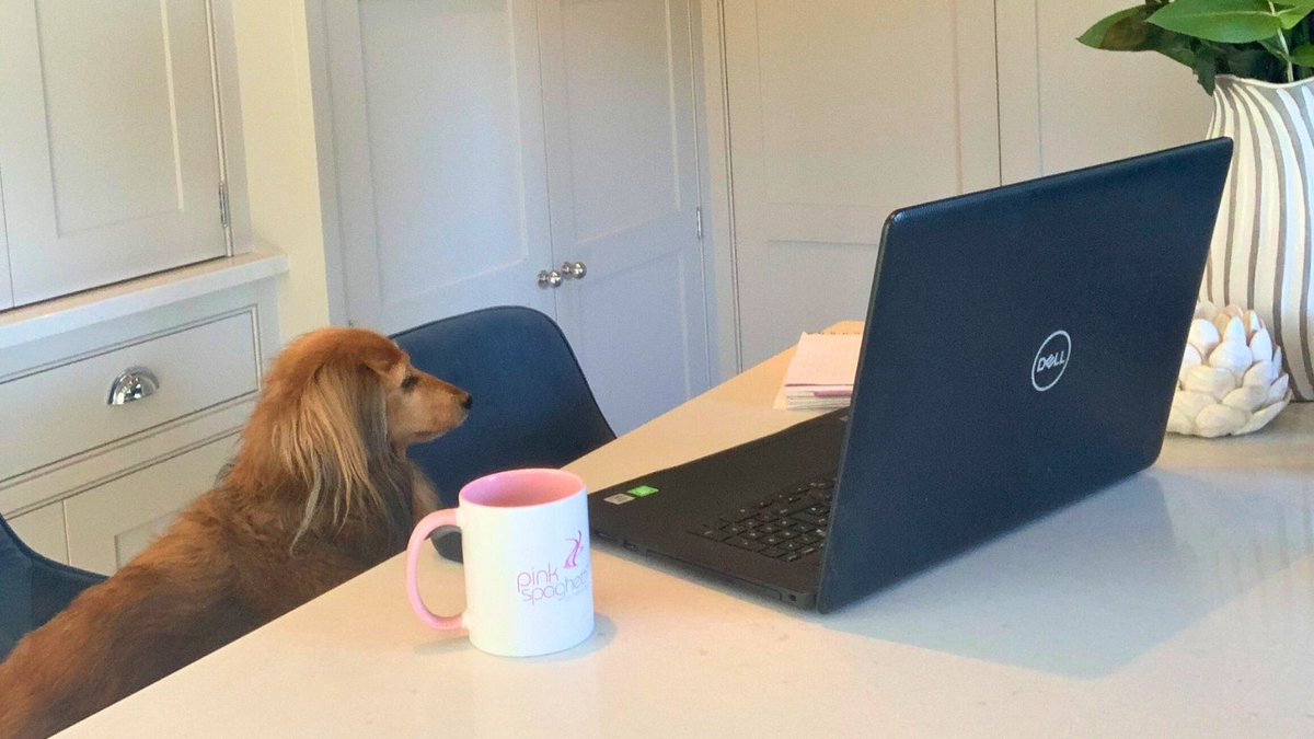How would it feel if...

You always had someone there to check your inbox even when you aren't around?

*Poppy prefers her bonuses in the form of treats if you want to get in her good books.

#VirtualAssistantUK #VirtualAssistantService #VirtualAssistantHelp