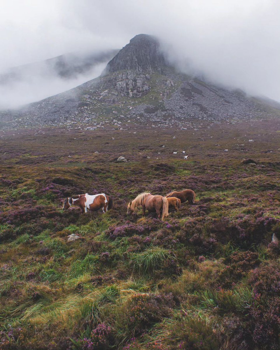 Dinner with the misty Mourne Mountains as our backdrop? Erm, where do I make a reservation ASAP?!

🚗 1hr south of Belfast

📍County Down

📸 instagram.com/monika.proroko…