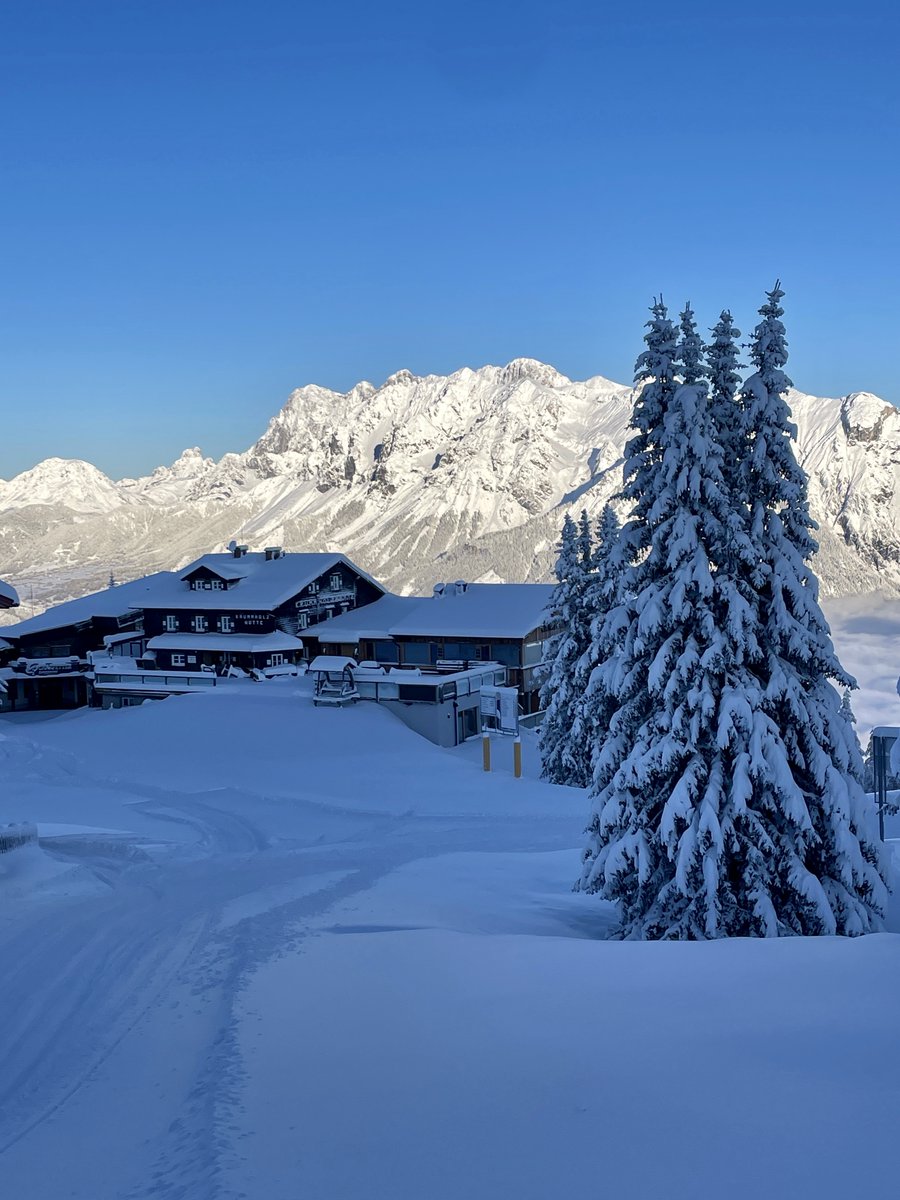 HauserKaibling's tweet image. Er läutet den Winter ein, der erste Sonnenaufgang der die Bergwelt in weiß glitzern lässt. Ein echtes Naturschauspiel, ein Gefühl für welches wir Jahr für Jahr dankbar sind. 

TIPP: Vielfahrer-Karte zum Vorverkaufspreis sichern 👉🏼 hauser-kaibling.at/skiticket

📷Josh Absenger