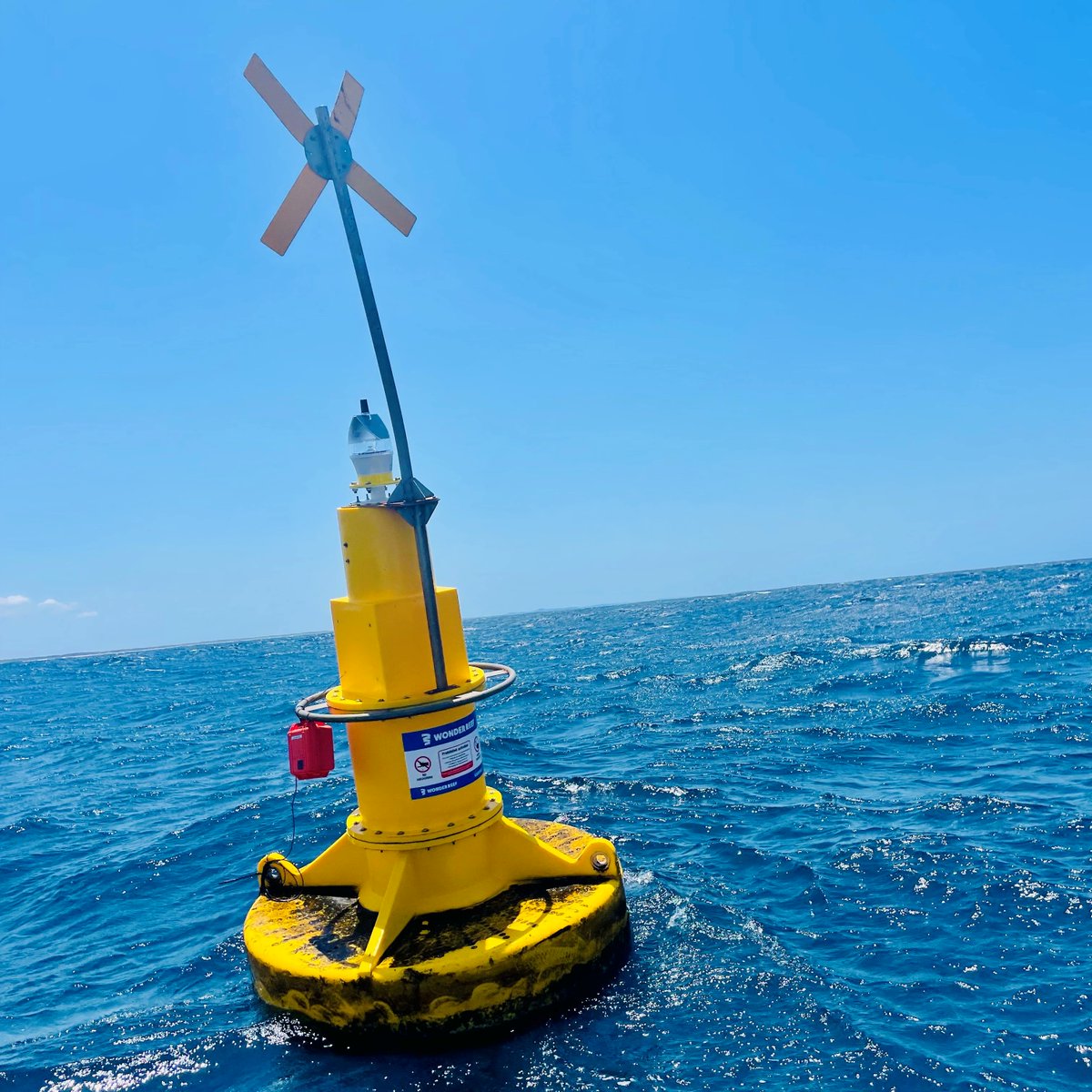 Leah Barclay tweet media