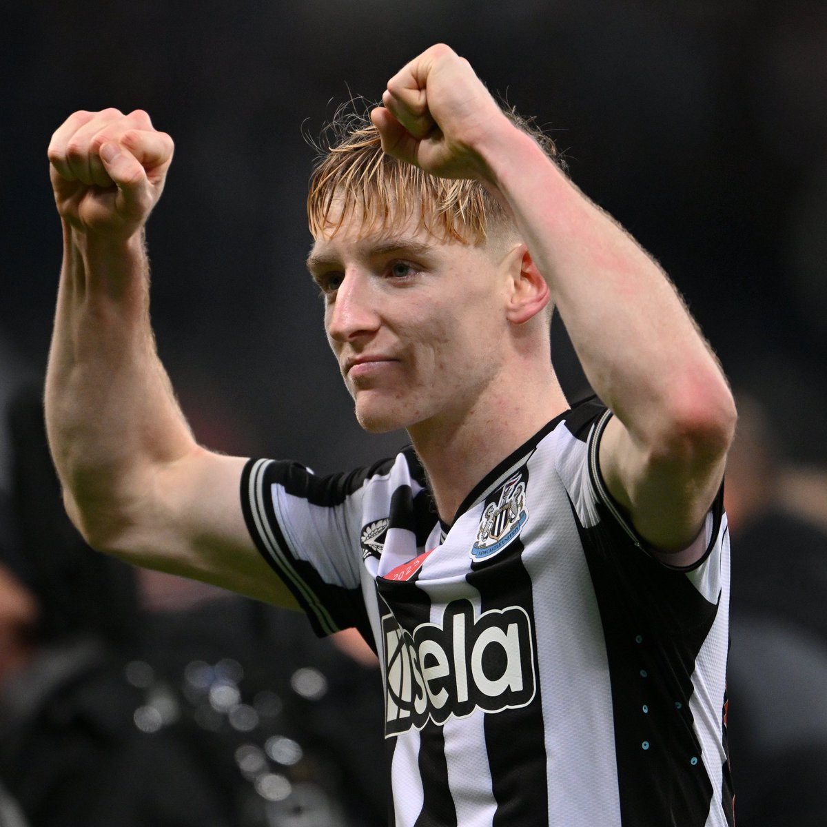 Newcastle United tweet media