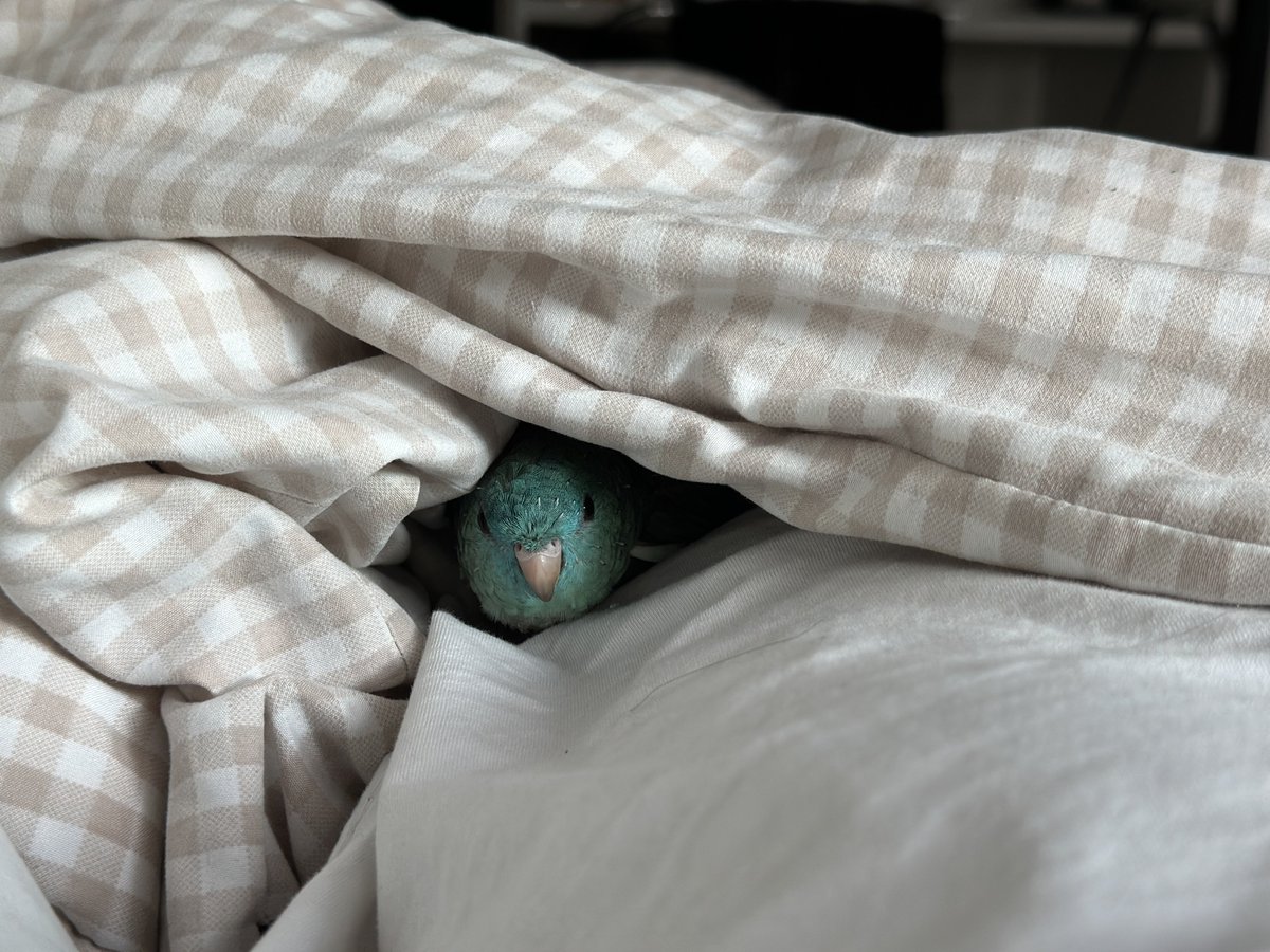 주말엔 포근하게