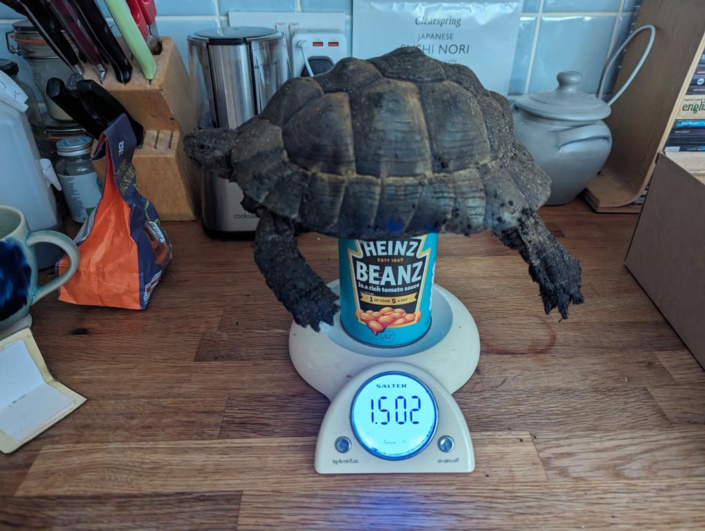 James Bullion tweet media