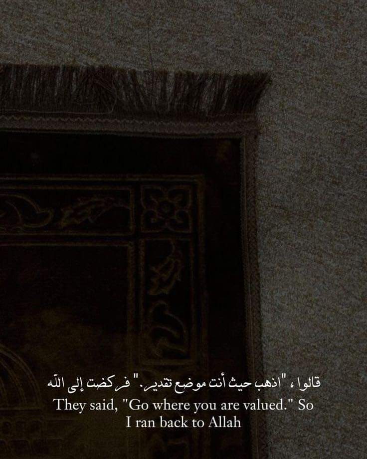 noorfatimasays's tweet photo. Your life is nothing more than a love story. Between you and God. Nothing more. Every person, experience, gift, loss, pain is sent to your path for one reason and one reason only: to bring you back to Him.
#ComeBackToAllah #PAKvNZ #PAKvsNZ #PakistanZindabad
#glorycollision6 https://t.co/MhCopISWvL