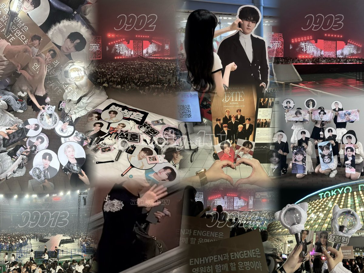 wonly_1uv's tweet photo. 230902〜230914 FATE TOUR✈️🩶
幸せな4公演で本当に全通して正解だった（ ;  ; ）じょうぉだいすき https://t.co/6Rx5sIXAdS
