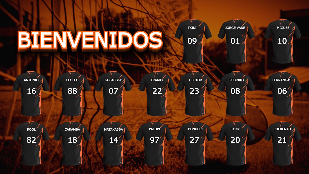 🦊 Os presentamos a los 17 integrantes del equipo que lucharán para llevar al equipo a lo más alto.

🎮 Jugaremos en las siguientes competiciones: 

➡️ 3ª División @PLGeFootBall.

➡️ 1ª División Grupo A <a href="/VFOspain/">VFO España</a>. 

➡️ 2ª División Grupo A <a href="/VPG_Spain/">Virtual Pro Gaming España</a>. 

#VamosLyokFox