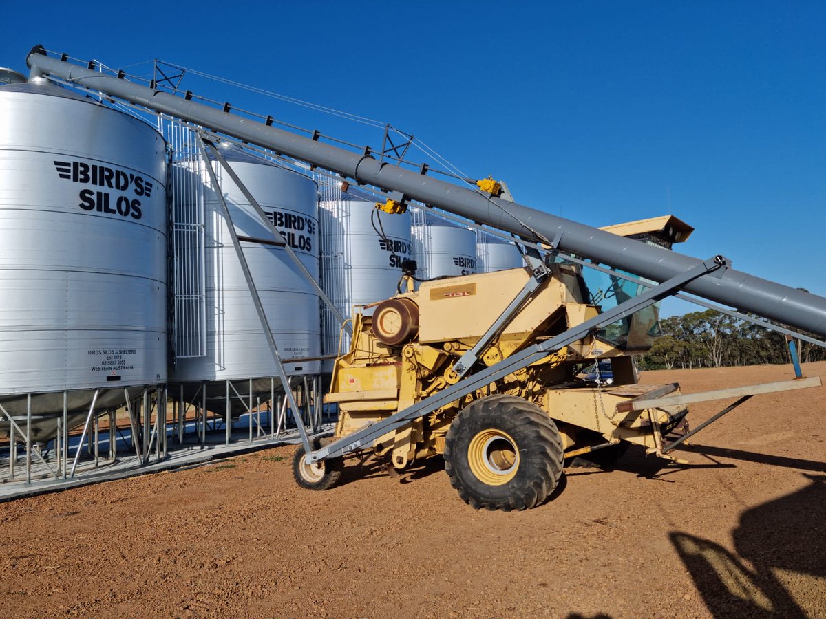 Lyn Slade tweet media