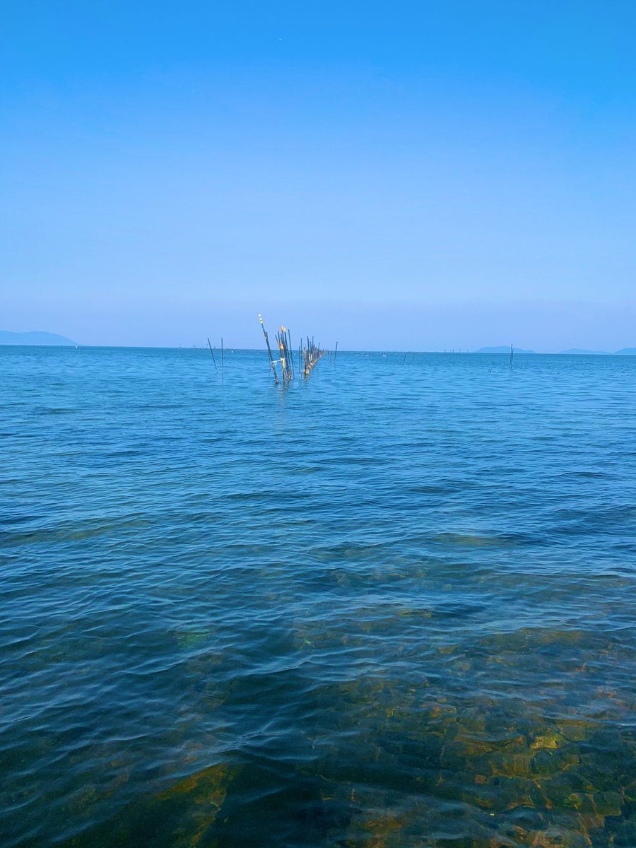 omisochannnel's tweet image. 今日はワーケーションで
ここで動画編集しました。

よき

#びわこ