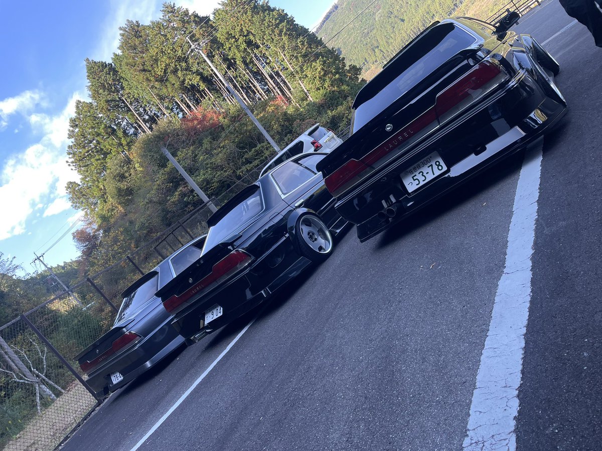 fumiyan1224's tweet image. 今日はうちから巣立ったローレル達とローレルな１日

#c33laurel
#laurel