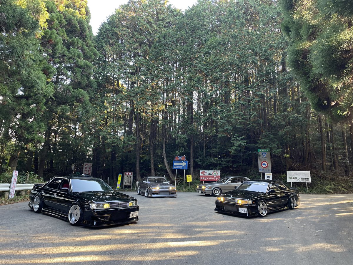 fumiyan1224's tweet image. 今日はうちから巣立ったローレル達とローレルな１日

#c33laurel
#laurel