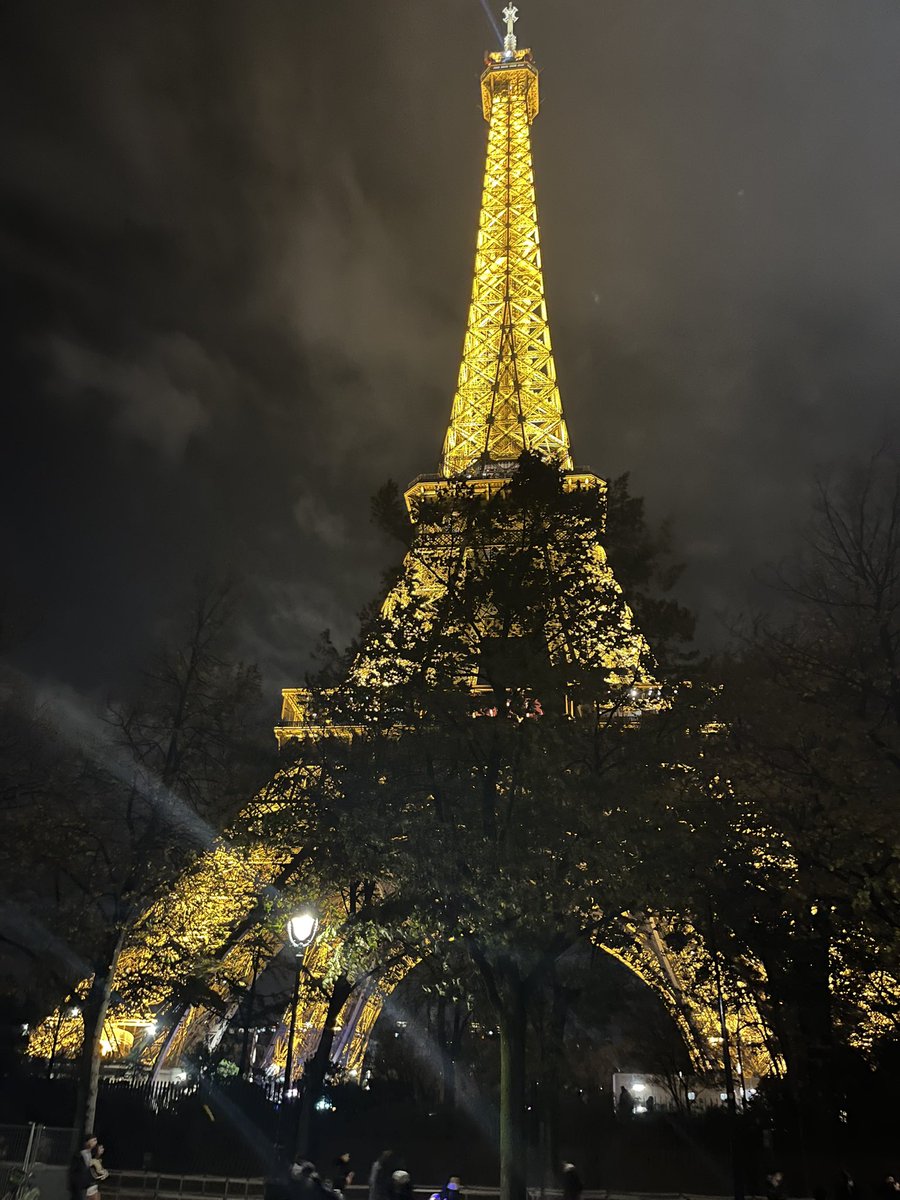 _sidd's tweet image. Beautifully lit ! #eiffel