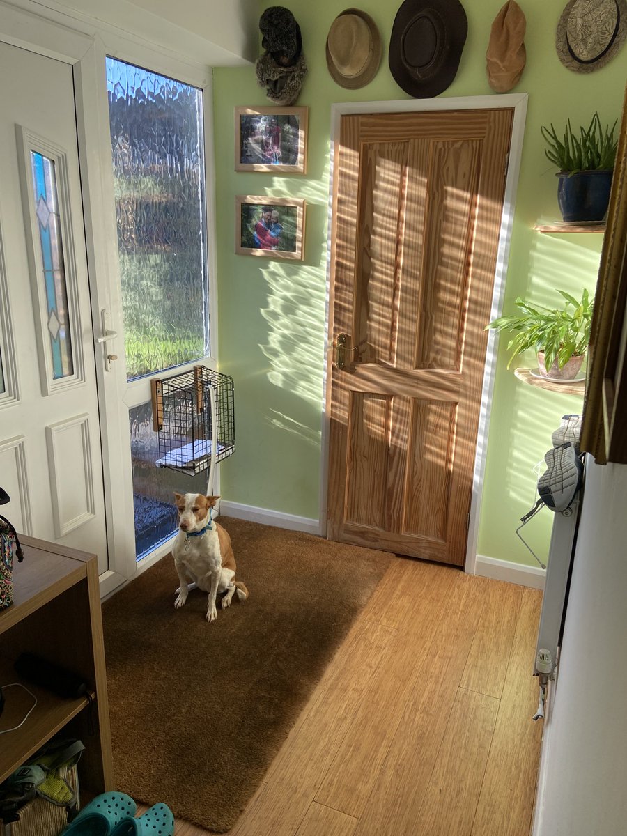 Am I a bad person if I sneak out the back door for a run……