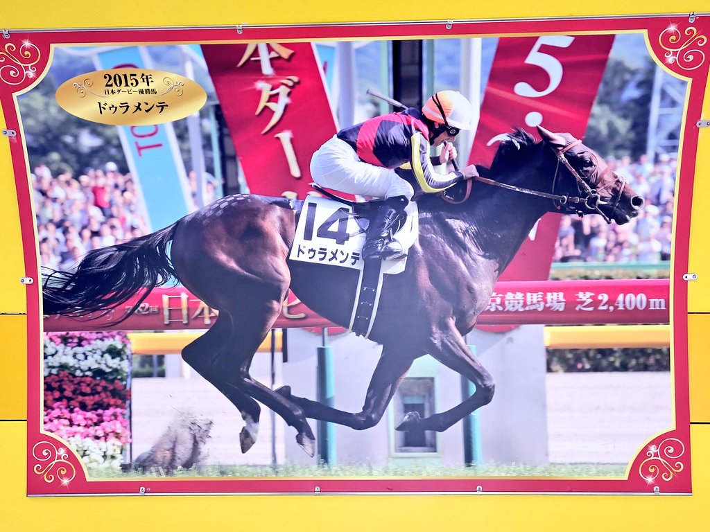 これは、こないだ東京競馬場行った時に通路に飾られてたドゥラメンテの