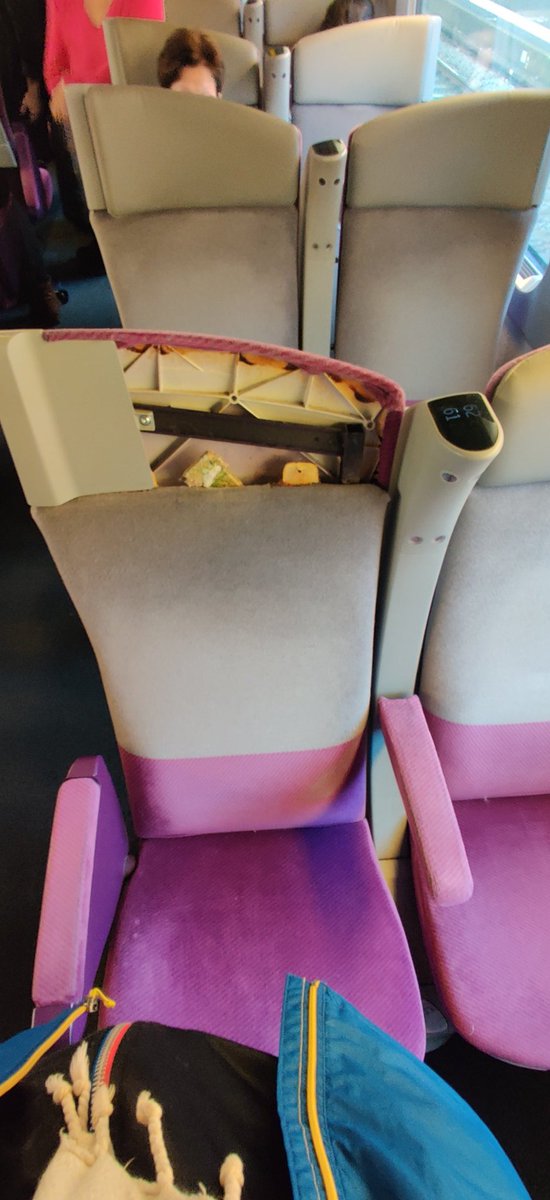 cprioul's tweet photo. @SNCFVoyageurs c'est pour vous signaler un dégât sur un de vos TGV, probablement suite à la tempête de cette nuit. https://t.co/SfcC51Vw6i