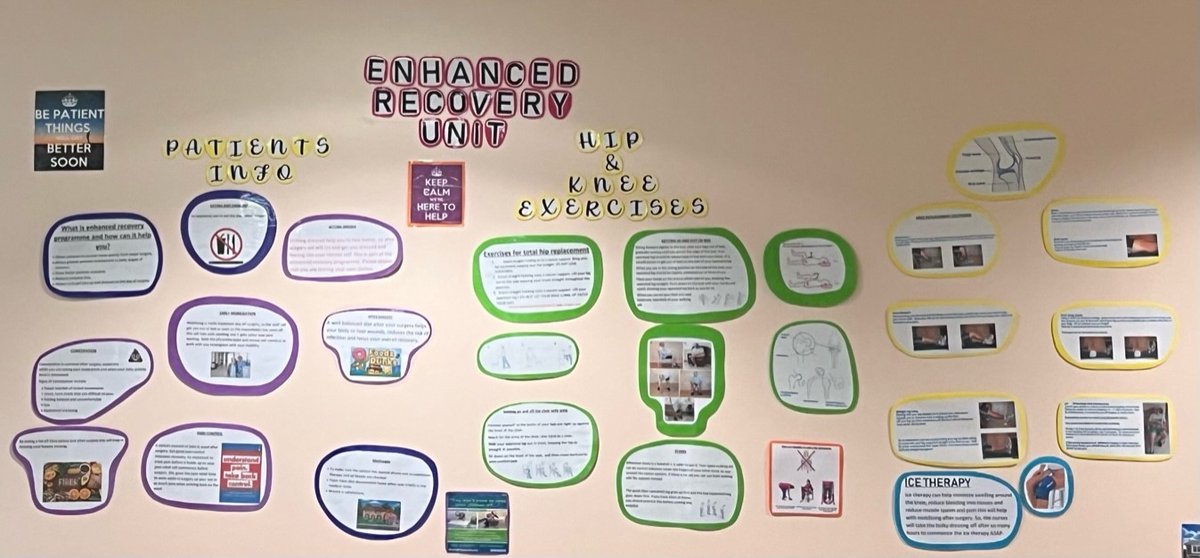 207Uhdb's tweet photo. ⭐️⭐️Ward 207 day room has a great patient journey display showing patients what to expect when having surgery 🦴🦴 @cbaddeley82 @LynseyHeald @UHDBTrust @UHDB_PatientExp https://t.co/EXugKevhUI
