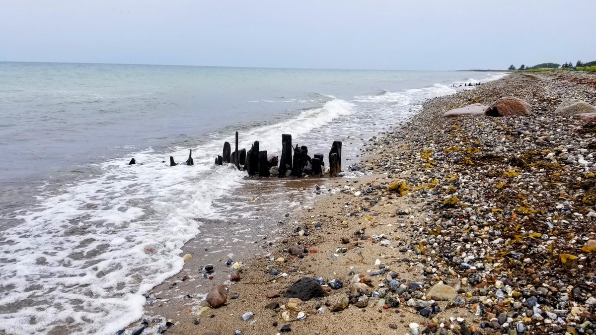 Impressionen von Fehmarn... 
 #Fehmarn #Ostsee #Insel #Ferien #Urlaub #ostseeliebe #küstenliebe #balticsea #meerliebe #schleswigholstein #strand #meerweh #ostseeurlaub #reiselust #ostseekult 
natuerlichfehmarn.de
