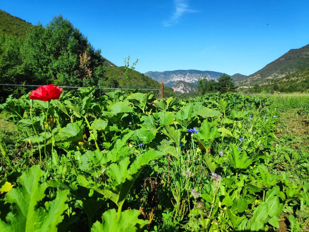 Carnísima tweet media