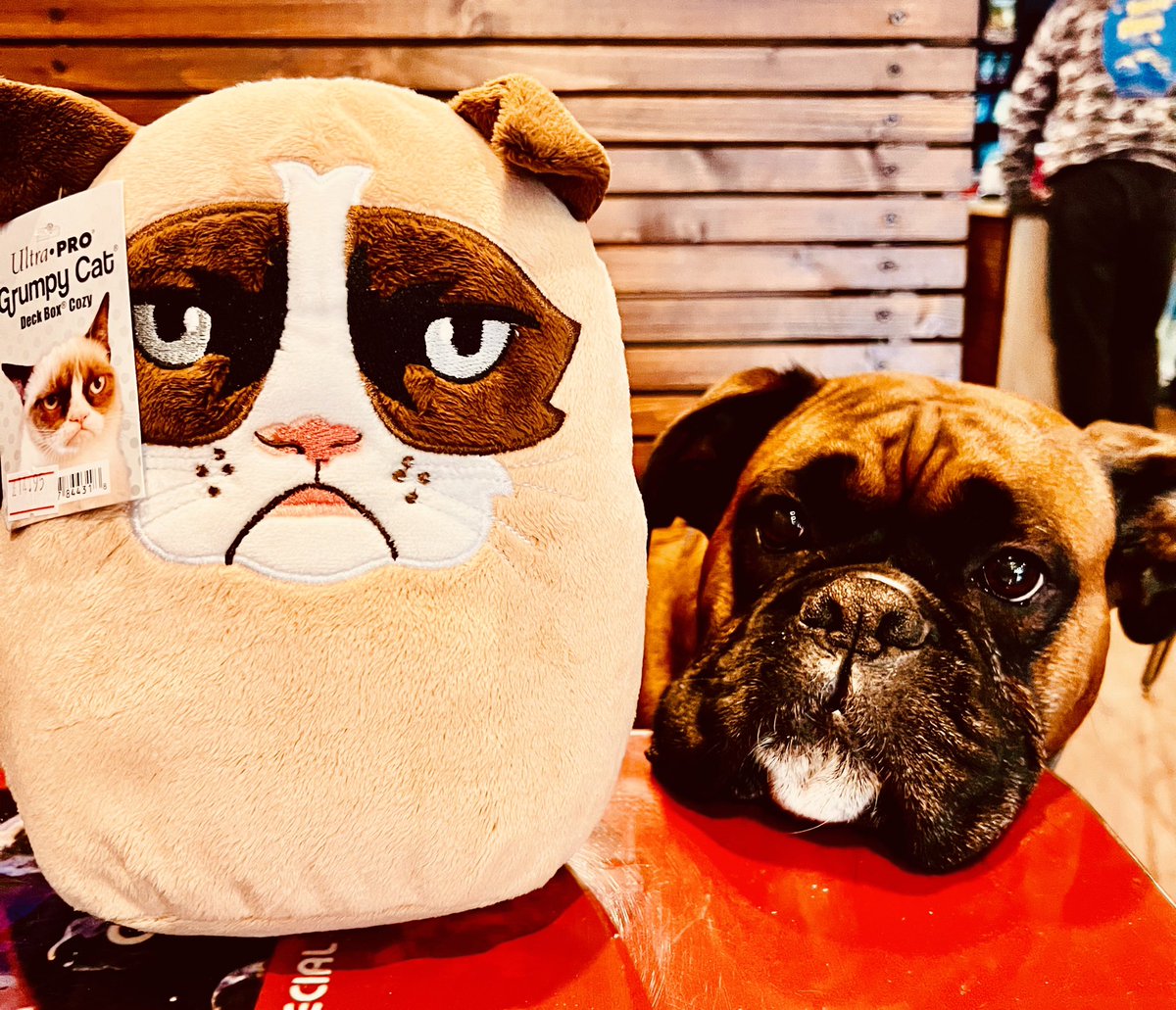 RBlastCoffee's tweet image. Its the weekend, fancy trying one of our signature milkshakes and a few games on our retro arcades we would love to see you, we are open from 11 till 4pm today for all your geeky retro needs!

#coffeeshop #retroarcade #localgamestore #localgamecafe #lgs #spaceinvaders #pacman