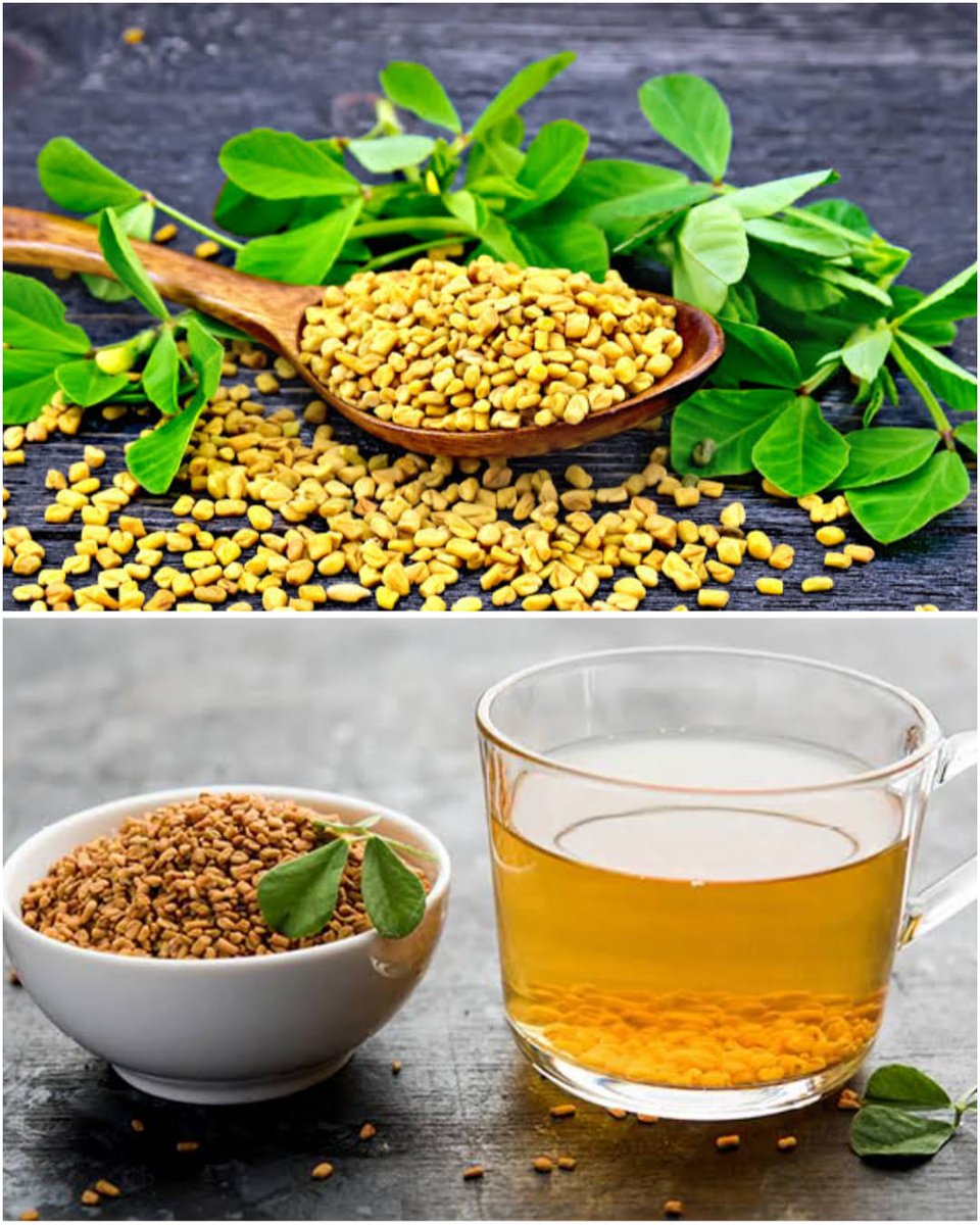 <a href="/Aryavrta_/">|| आर्यावर्त ||</a> Good information 👌भिगोई हुई मेथी दाने का पानी एक महीने तक प्रातः सेवन करने से वजन कम होता है ,क्योंकि मेथी भूख कम करती है एवं इसमे कई एंटीऑक्सीडेंट गुण होते है।