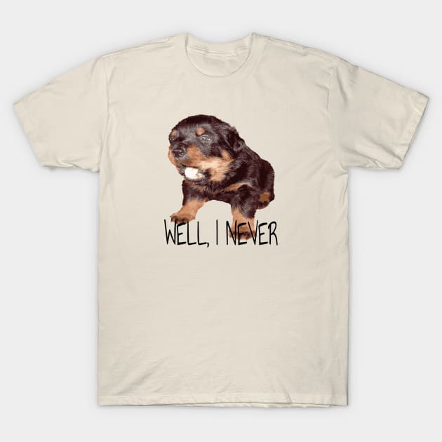 TaicheTees's tweet photo. Rottweiler Expressing Great Surprise Well I Never - Well I Never - #TShirt #TeePublic #taiche #wellinever #wreagreen #preston #fulwoodpreston #didyouknow #cottampreston #stannes #freckleton #kirkhamandwesham #lythamstannes #lytham #lythamlifestyle
https://t.co/7WIvTaAiuV https://t.co/kQCIRIz8AV