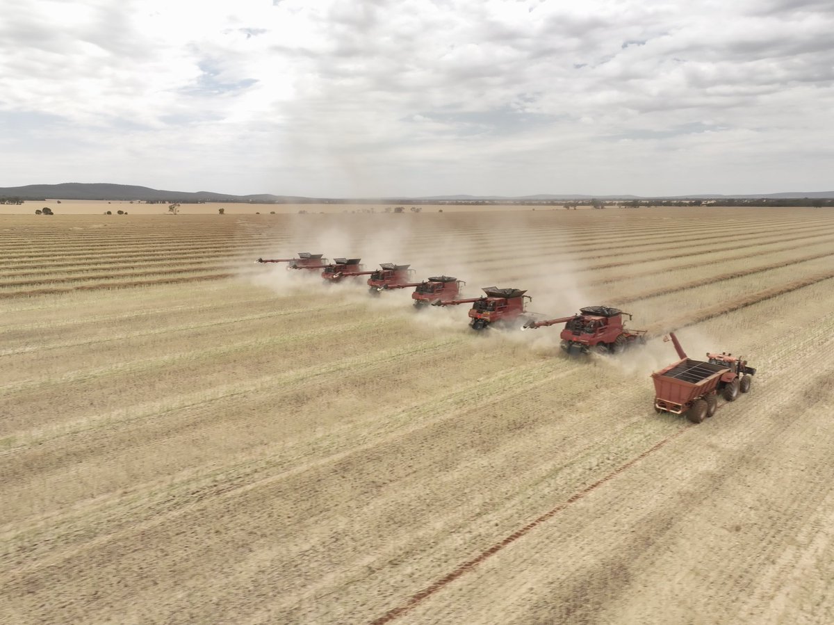 _TMPhoto_'s tweet image. Line them up and let ‘em Eat