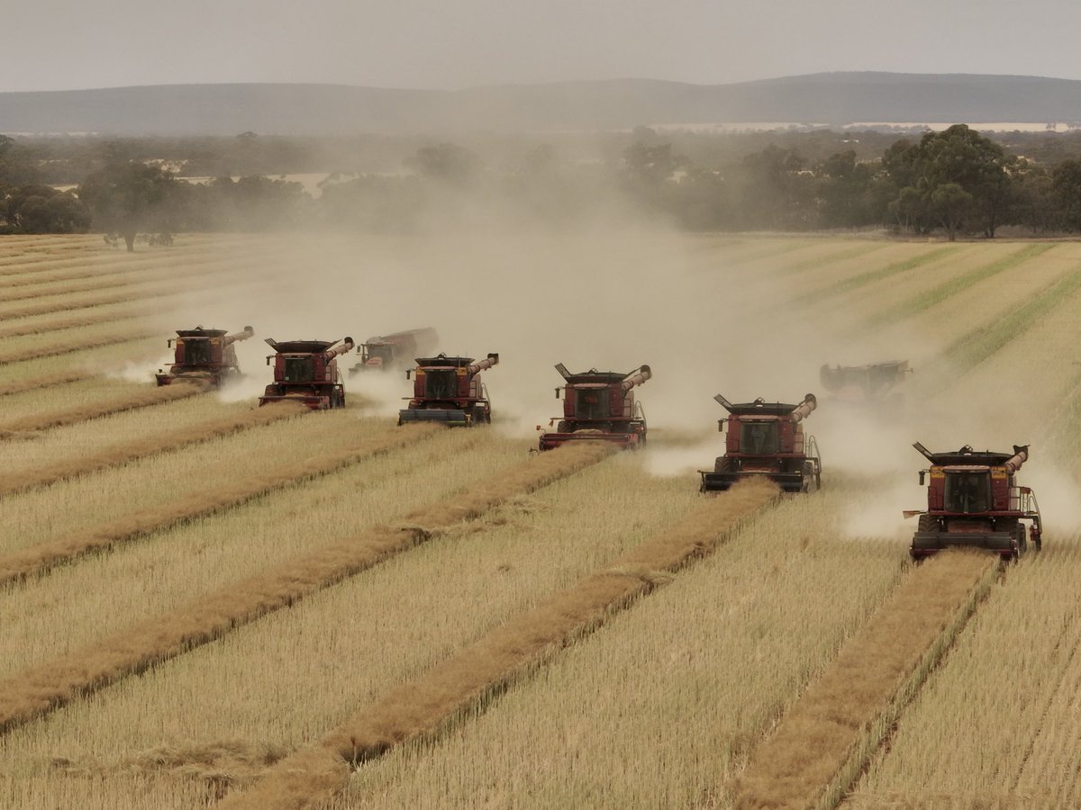 _TMPhoto_'s tweet image. Line them up and let ‘em Eat