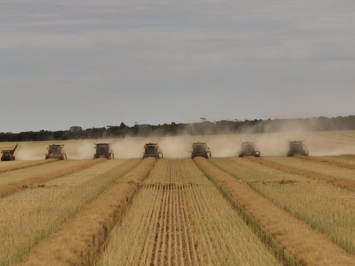 _TMPhoto_'s tweet image. Line them up and let ‘em Eat