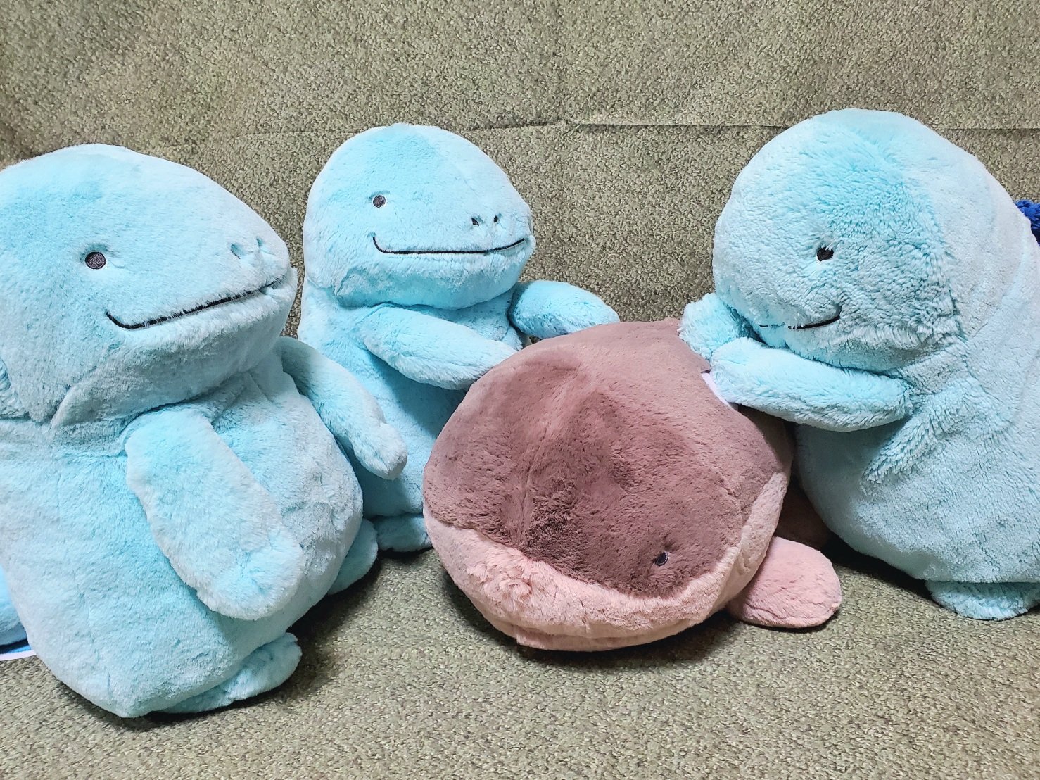 ふわふわ抱きぬいぐるみ ドオー ｜【公式】ポケモンセンター