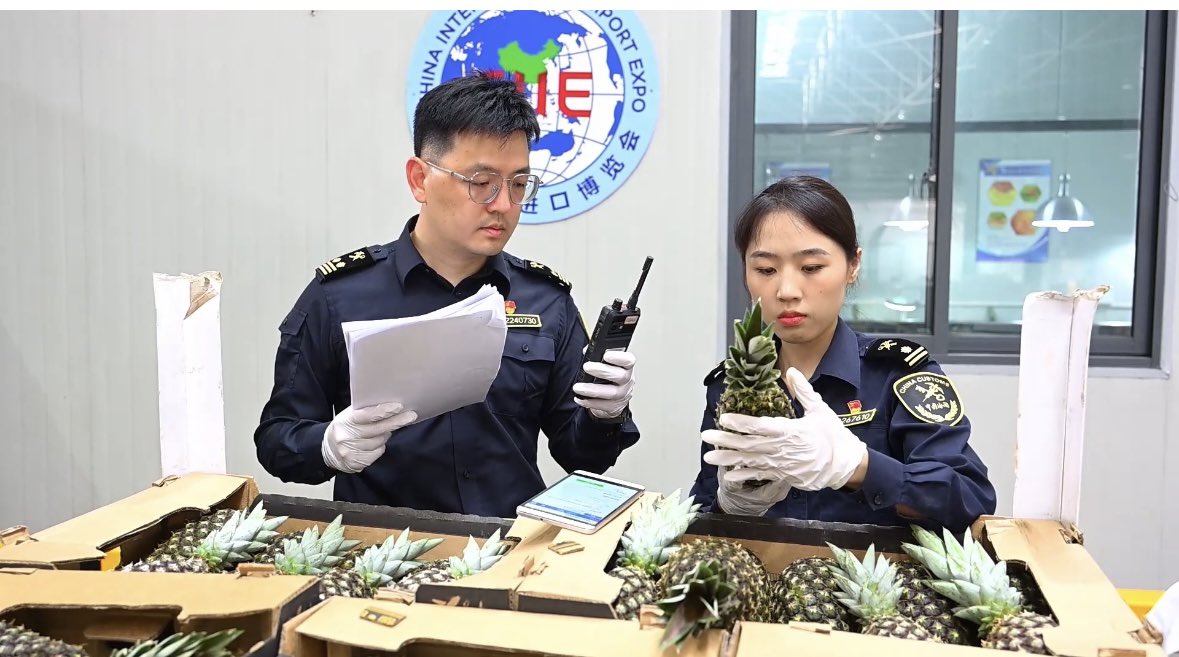 WilliamTchekpe's tweet image. 🚩 🇧🇯🤝🇨🇳  l&apos;#ananas pain de sucre du #Bénin a passé tous  les contrôles sanitaires de la douane chinoise et fait son entrée officielle sur le marché chinois dans le cadre du China International Import Expo @ciieonline #CIEE2023 #Fierement229 #wasexo