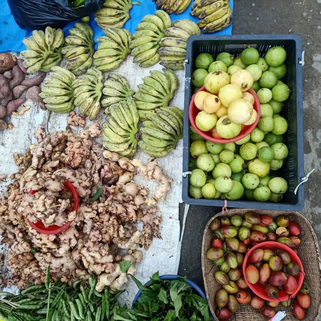 tovihoto's tweet photo. The true organic gems of Nagaland. 😍

Bountiful harvests of hardworking farmers.

#OrganicVeggies
#TuensangMarket

PC: Yangtsu_ku https://t.co/bAyuArIrIo