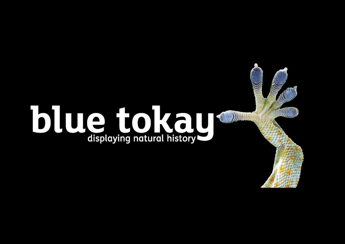 Who’s coming to <a href="/MuseumsAssoc/">Museums Association</a> conference next week? Hands up! #museums #museumsassociation #Newcastle #gateshead #theglasshouse