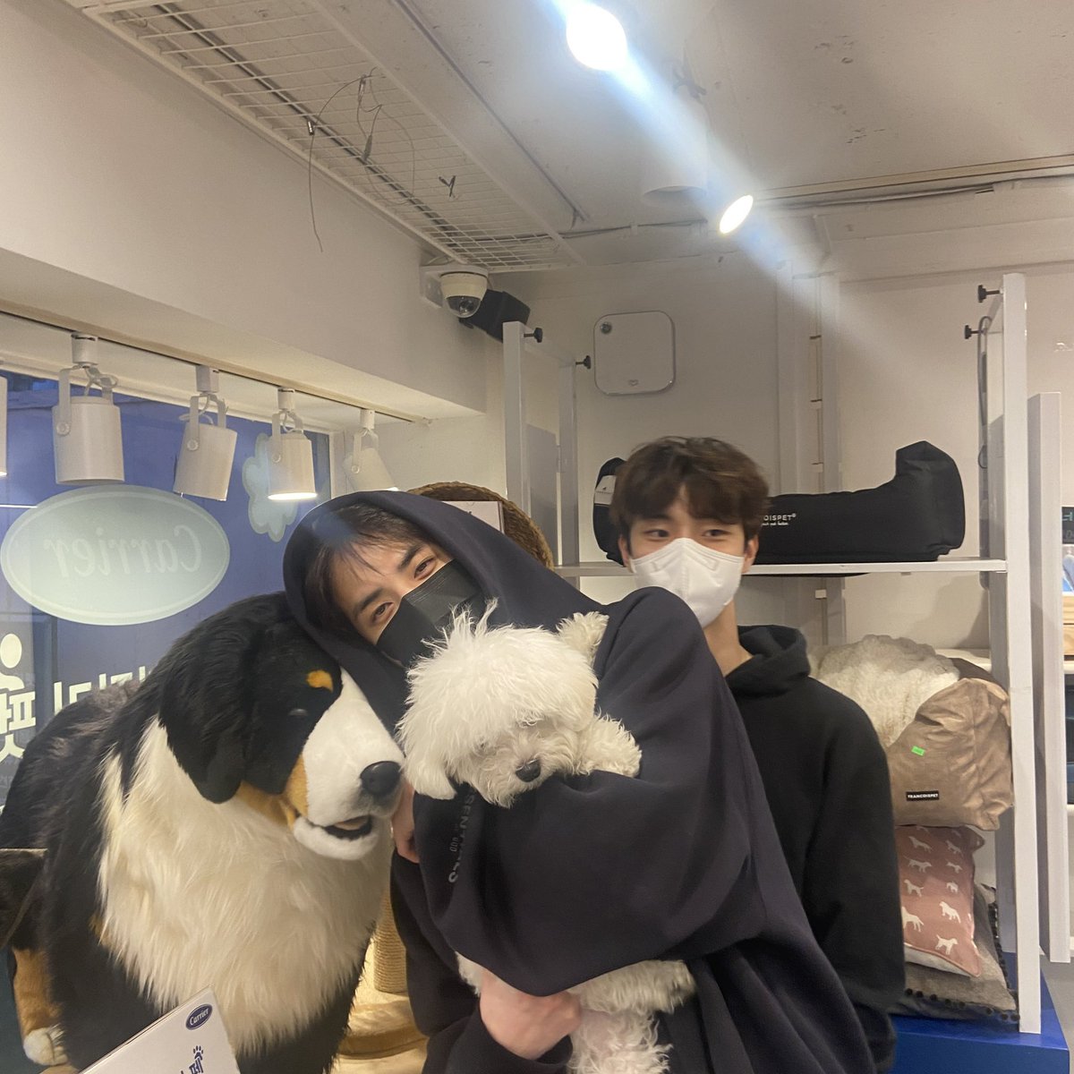 푸학
이사진 진짜 가나