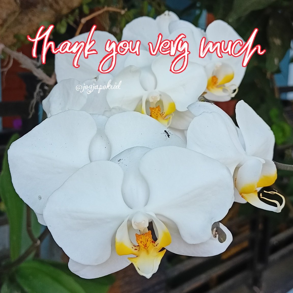 #F4F_Nusantara
#TwFsClub

thank you so much
⏩➽ <a href="/Luizoli1965/">Luiz Paraná</a>

<a href="/TwFsClub/">Founder of ☀️ #TwFsClub</a>
<a href="/jogjapokeid/">jogjapokeid</a>
@DimasPrase252
<a href="/Dinaminadinda/">Dinda Dinamina</a>
@dinarArunika
<a href="/Dina_Denoks/">𝔖𝔢𝔫𝔞𝔫𝔡𝔲𝔫𝔤 𝔖𝔢𝔫𝔧𝔞 💛🌻🌙</a>
<a href="/dinols5/">💯dinols🇲🇨</a>
<a href="/Zar_43/">ZARRAR ضرار #ΛᒪBΛЯQ⚡@𝙕𝙖𝙧_𝟰𝟯</a>
<a href="/fg2g3/">الزعيم أبو أحمد 💙🤍</a>
<a href="/hfc8h/">⭐🥈🏆#حاشرهم_العالمي70🏆🥈⭐</a>
<a href="/Qs3488/">Qamar Shahzad🦅</a>
<a href="/_AlHilal_66/">الزعيم أبو أحمد🥈</a>
<a href="/MIHaque10/">#TMMIH10</a> 
<a href="/Ditampu376/">∆ Ditampu ∆</a>
<a href="/Ditapur52612869/">Dita purnama sari</a>
<a href="/Divine_Bliss/">𝐉𝐞𝐧𝐧𝐲 𝐉𝐚𝐢𝐧~240k~💯% FB</a>
<a href="/Djarwinchitta/">Kremesan</a>
<a href="/DjuaraS/">Djuara P Simanjuntak</a>