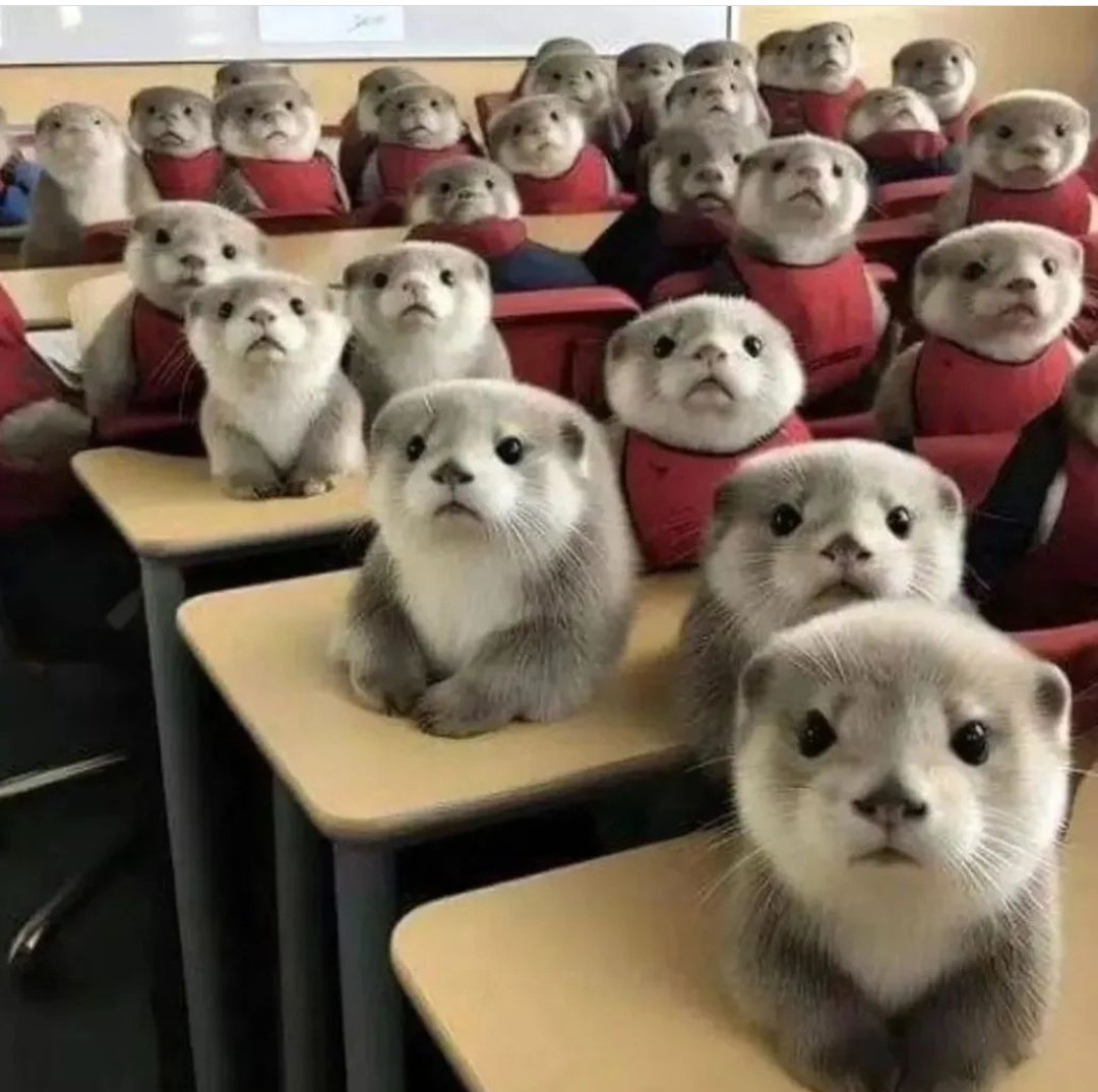 La facultad de Nutrición