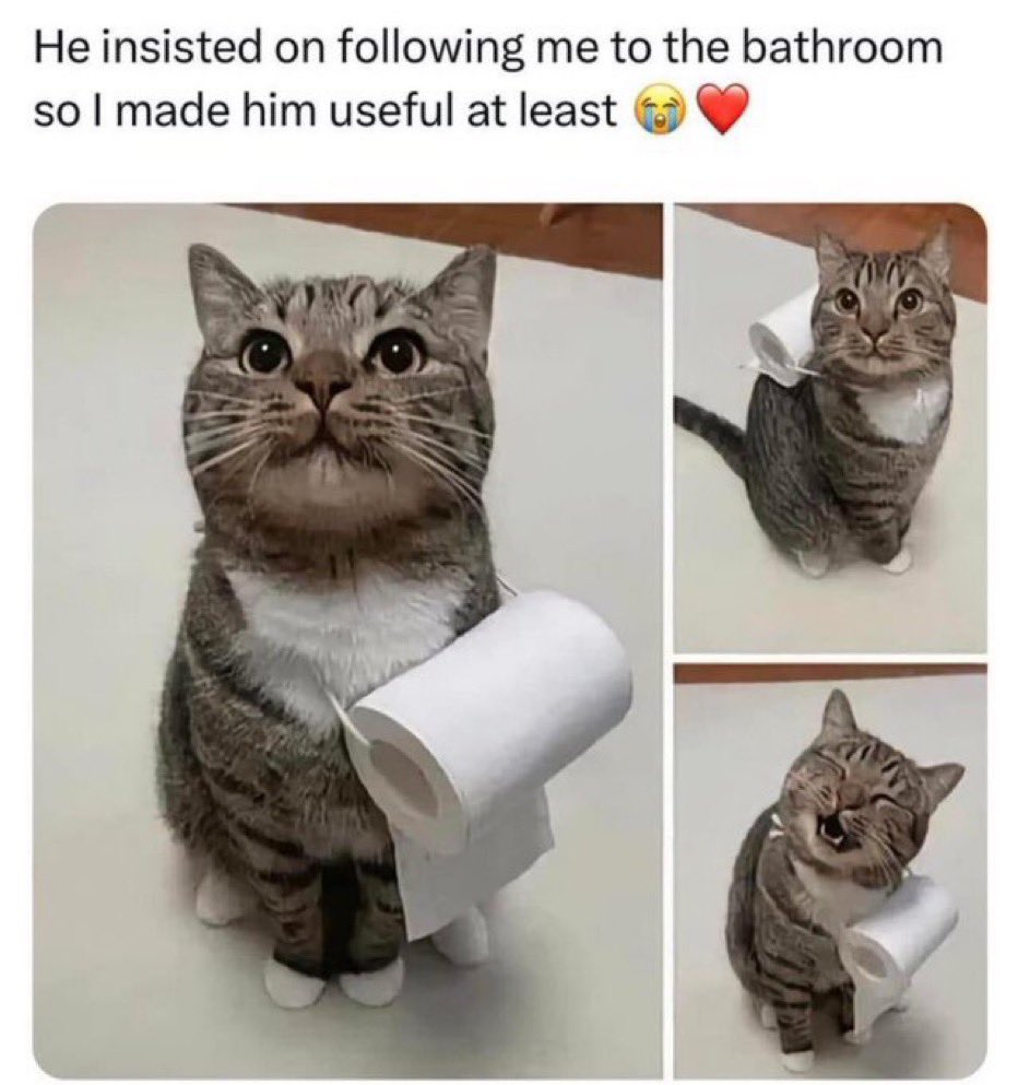 Photo posted by Admin😈 (@dammmedvibezzz), image size:932x993