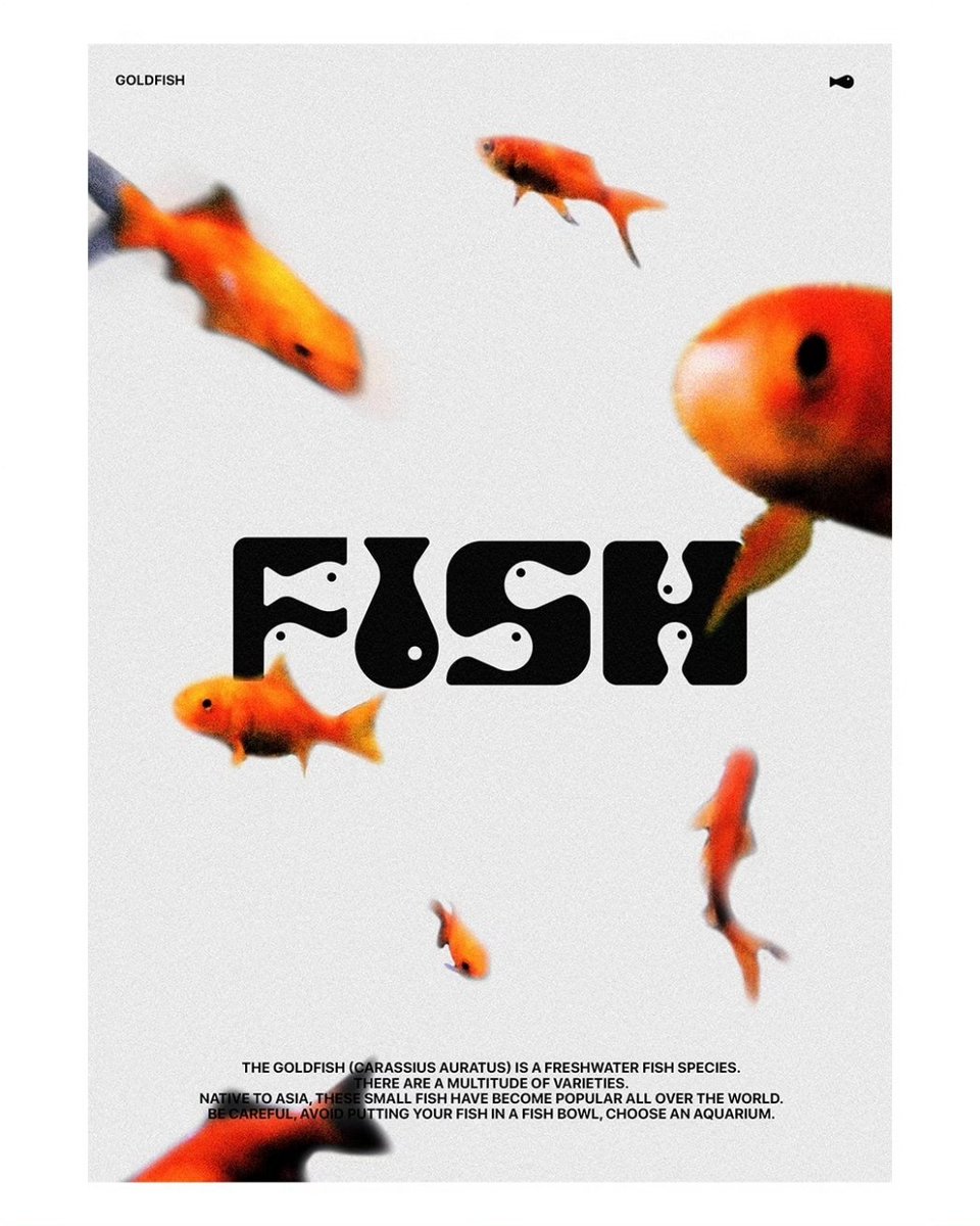 useralmay's tweet photo. comme un poisson dans l'eau https://t.co/WMiaCSiaWL