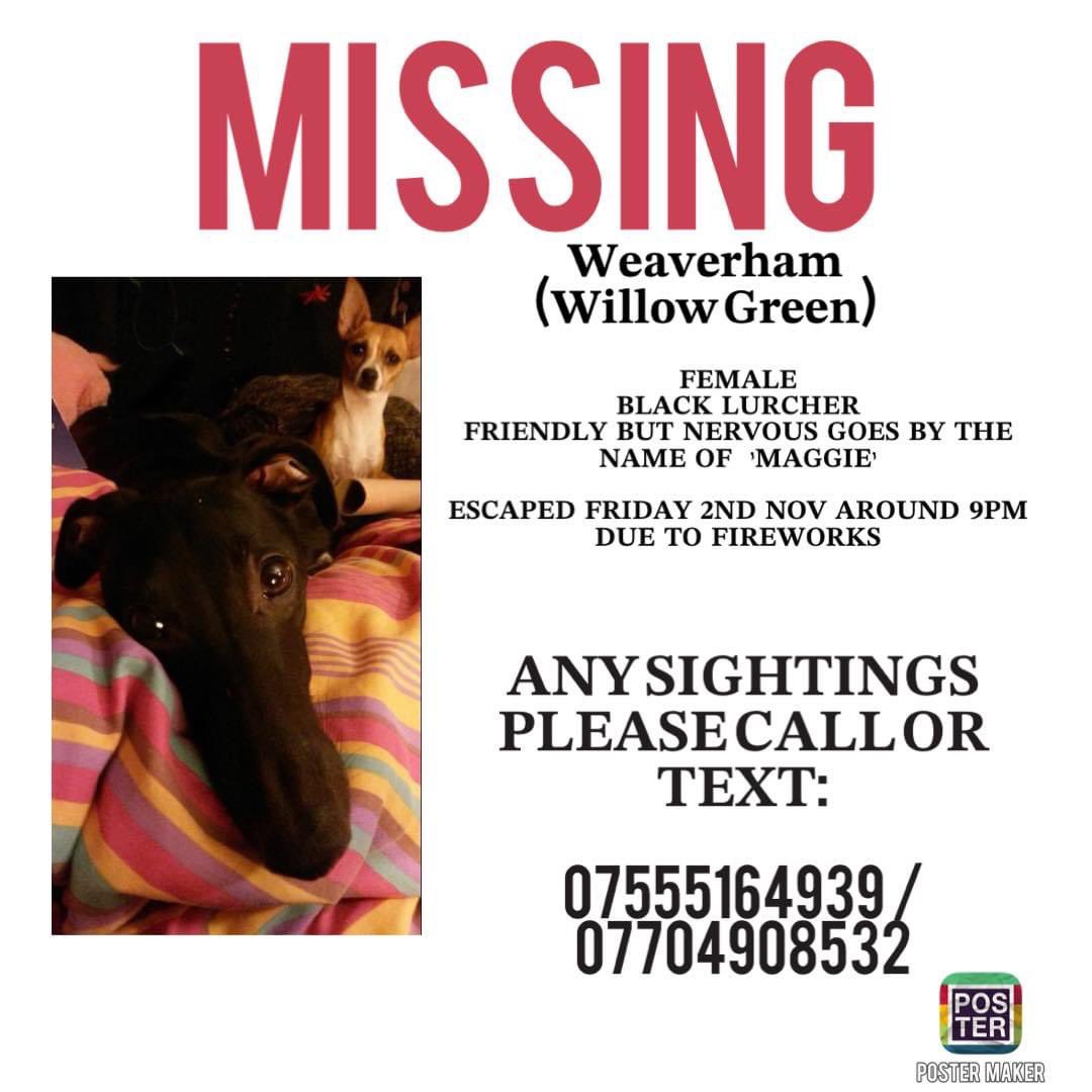 rosiedoc666's tweet photo. MAGGIE MISSING DUE TO FIREWORKS π₯ #WEAVERHAM AREA
#MissingDueToFireworks
πππππππππ
Has anyone seen a black #lurcher? She has got out due to her panicking over the fireworksπ
@WeaverhamHighSc @Weaverham_CC @WeaverhamAcade1 @WeaverHardware @JacquiSaid @RachaelB100 https://t.co/KR9DHzJV6g