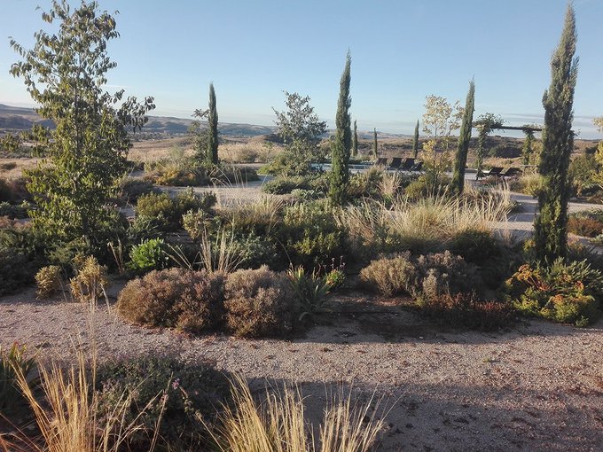 Foto cedida por Ayuntamiento de Rivas