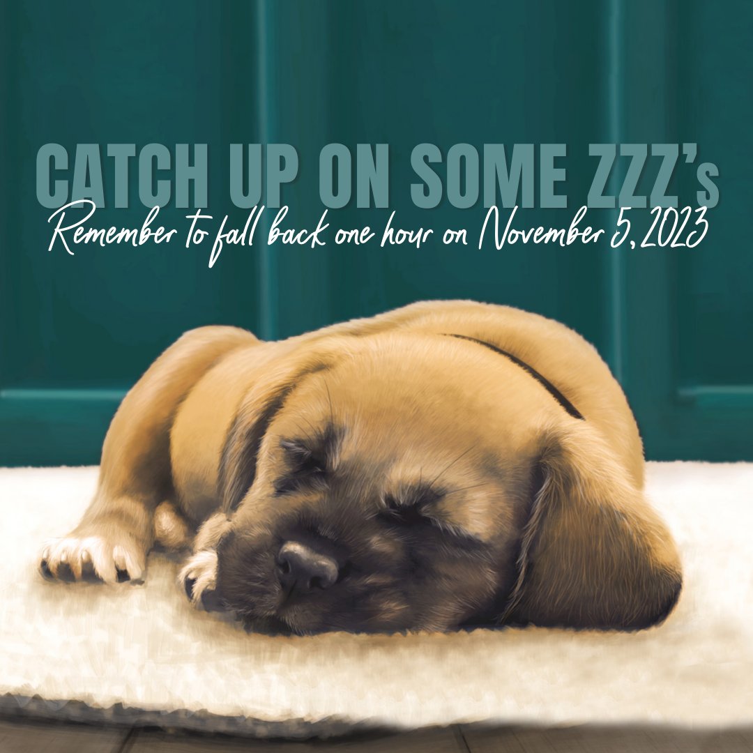 aprilporterfie1's tweet image. Great news! Remember to turn back your clocks on November 6 to enjoy an extra hour of sleep! #fallback #fallback2022